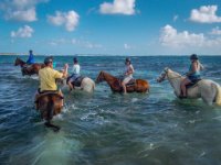 We&#39;re supposed to remain in single line lest the horses try to start racing each other. Being the rebel I am I risked death to get this shot of Paula in the water!